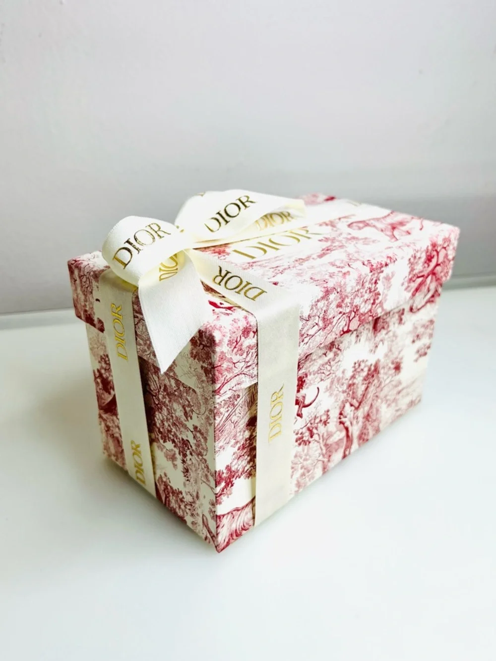 Christian Dior Red Toile de Jouy Small Gift Box with Ribbon 7